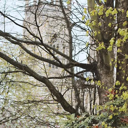 Апартаменты Minster View At Talbot Court, *